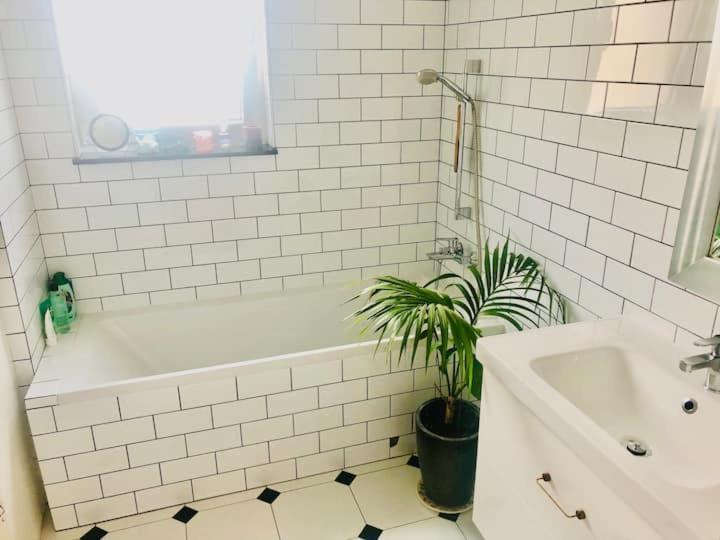 Stylowy Apartament W Centrum Miasta Бидгошч Екстериор снимка